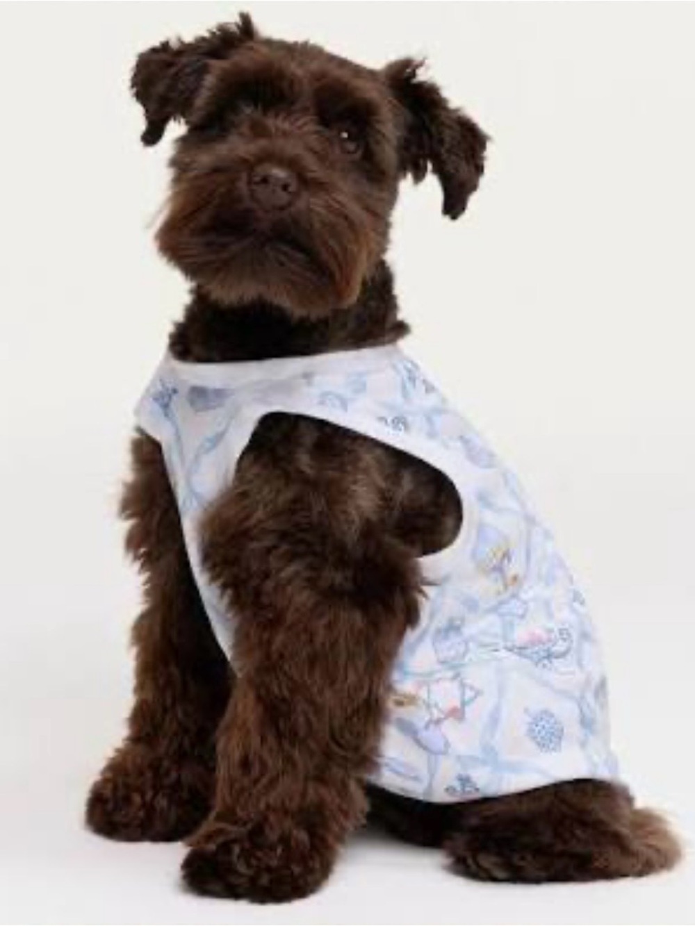 Roller Rabbit X LoveShackFancy starry nights lattice dog pajamas NWT medium